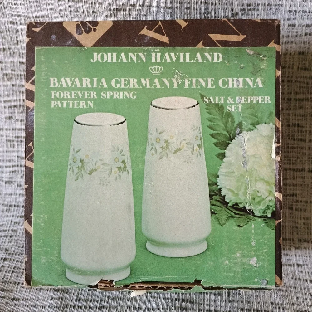 Johann Haviland Forever Spring Salt and Pepper Shakers Bavaria Germany Vintage